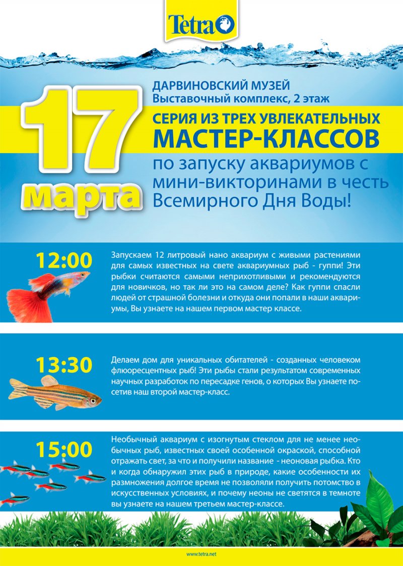 Запуск аквариумов с мини-викторинами