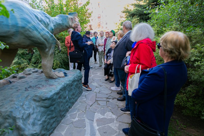 День старшего поколения