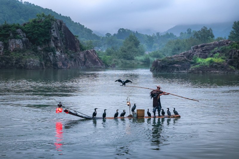 Надежда Николаева. Москва. Традиционная рыбалка с бакланами