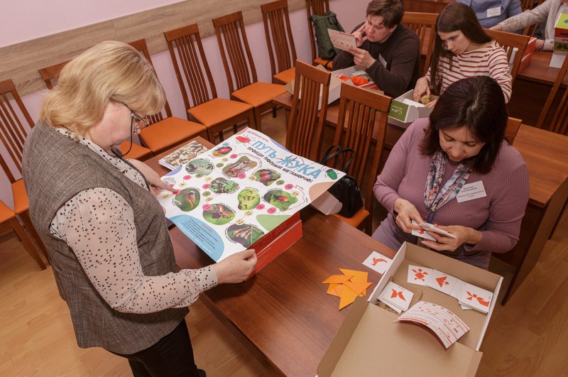 Курсы повышения квалификации сотрудников естественно-исторических музеев 2026