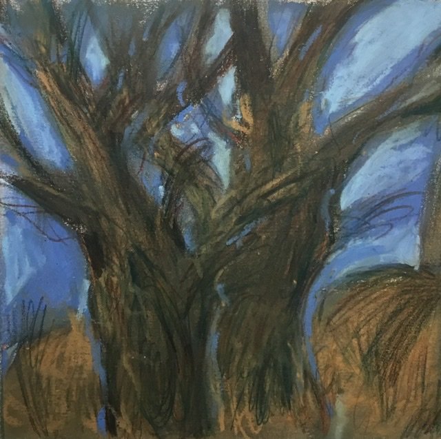 Чуканова 6