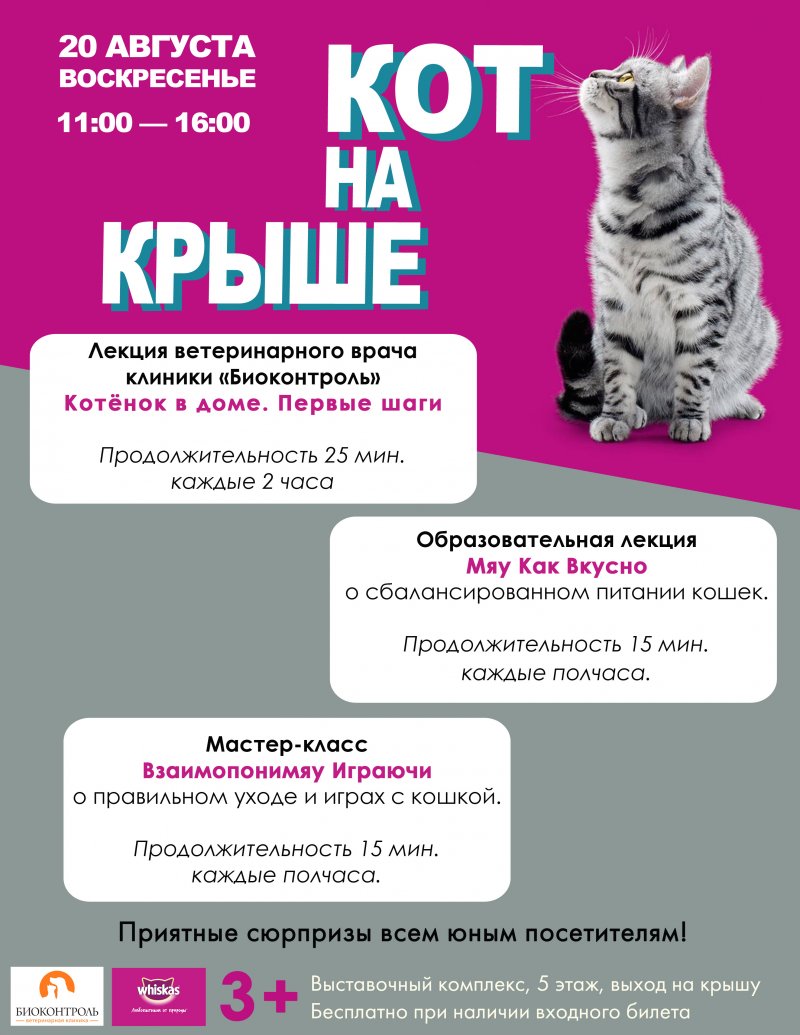 Благотворительный фестиваль в поддержку животных из приютов ЮНА-ФЕСТ