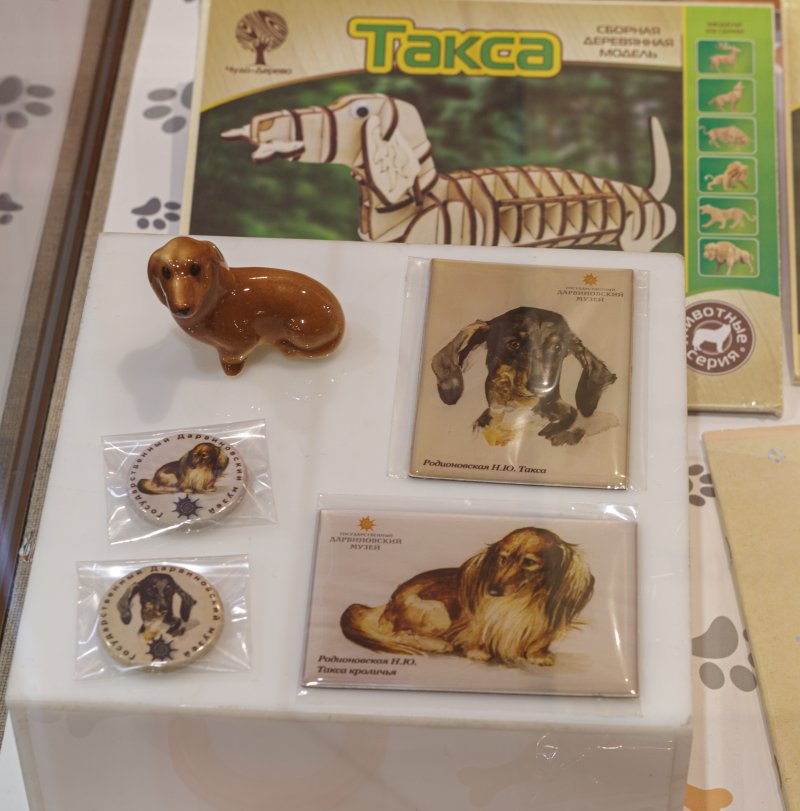Таксячий характер