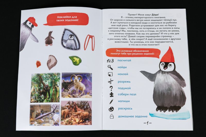 Пингвин Дада выясняет: крылья, лапы и хвосты — у кого они? 