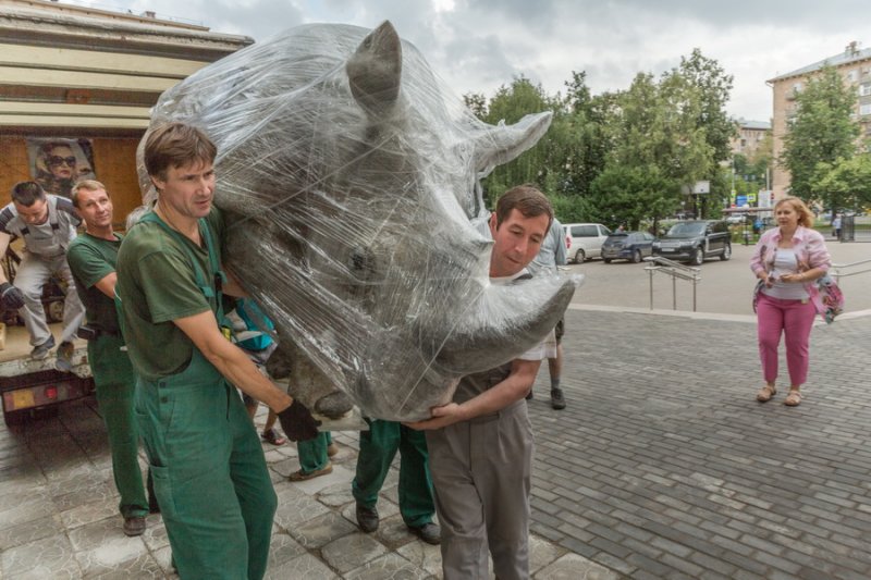 Фигура белого носорога Ceratotherium simum украсила вход в Дарвиновский музей