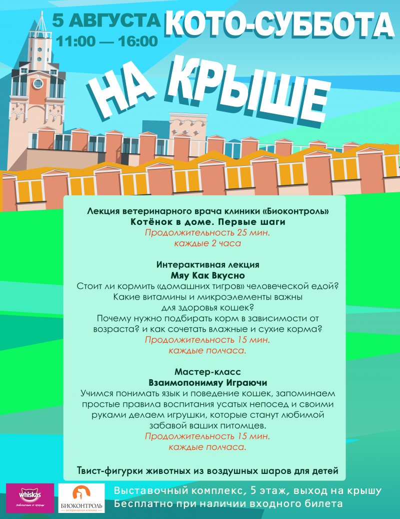 КОТО-СУББОТА НА КРЫШЕ