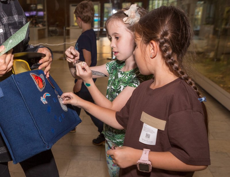 На поиски Слономуха КВЕСТ С ВЕДУЩИМ для детей 8-11 лет