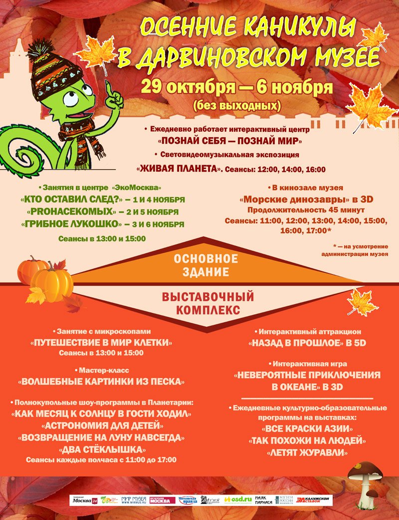 Осенние каникулы 2016