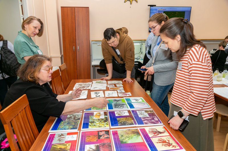 Курсы повышения квалификации сотрудников естественно-исторических музеев 2025