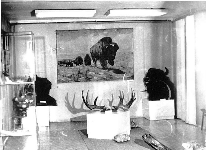 Выставка Дарвиновского музея «Диалог с минувшим», приуроченная к 85-летию со дня рождения К. К. Флёрова проходила в выставочном зале «Сокольники». 1989