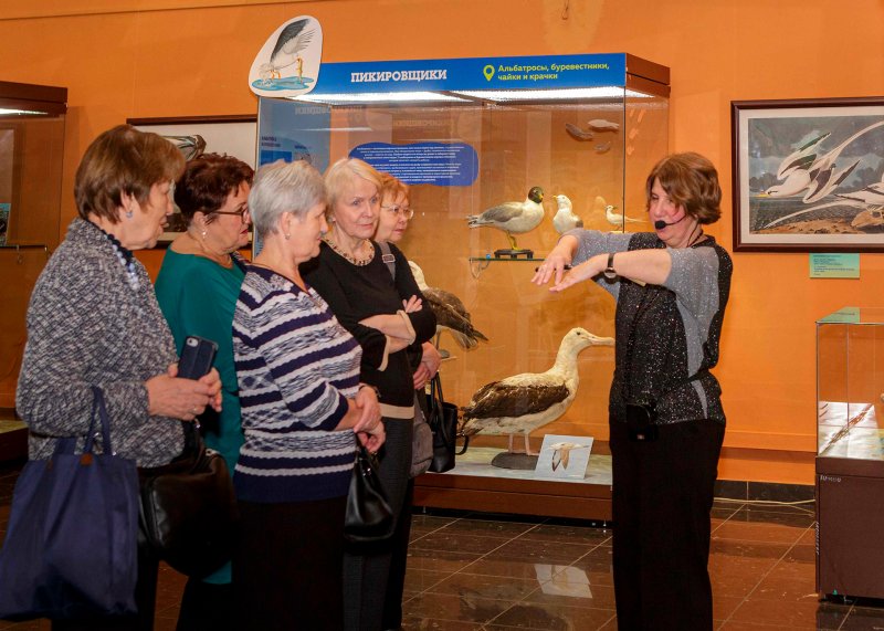 В.С. Ионкина ведет экскурсию на выставке Птицы-рыболовы