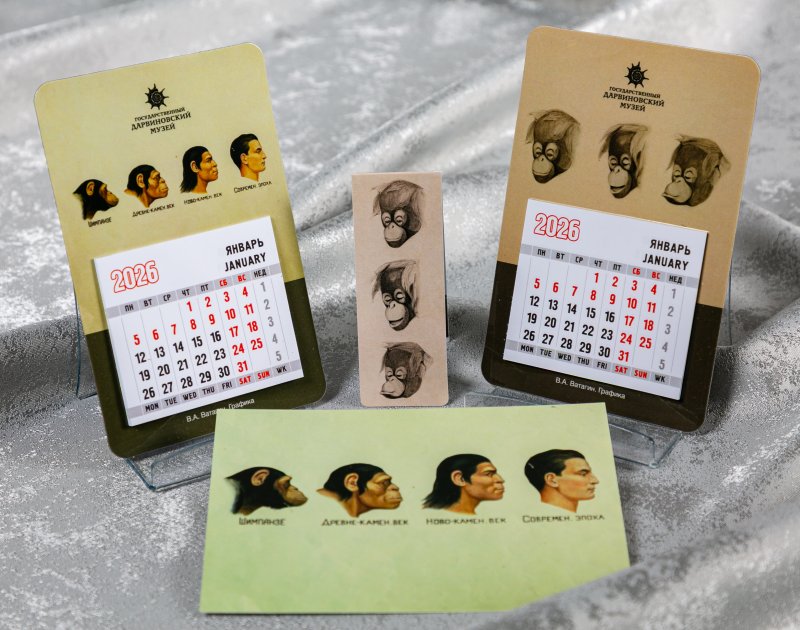 Для наших любимых мужчин