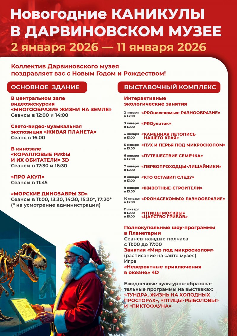 НОВОГОДНИЕ КАНИКУЛЫ 2026