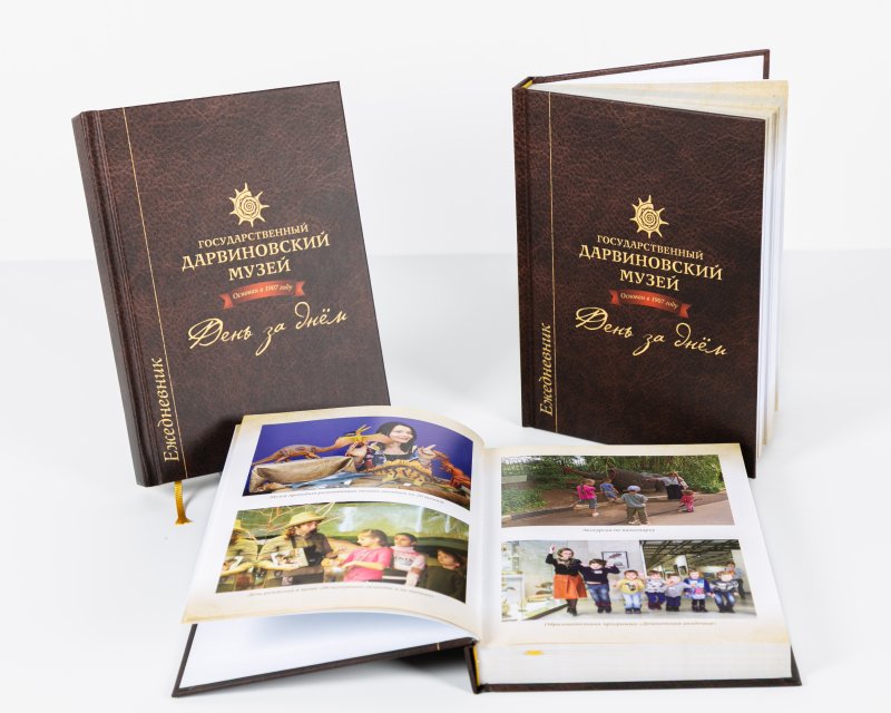 Ежедневник 2025