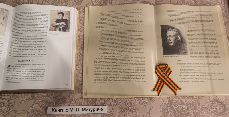 Дошёл до Берлина. Май Митурич