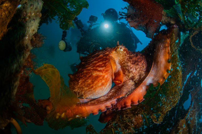 underwater_0