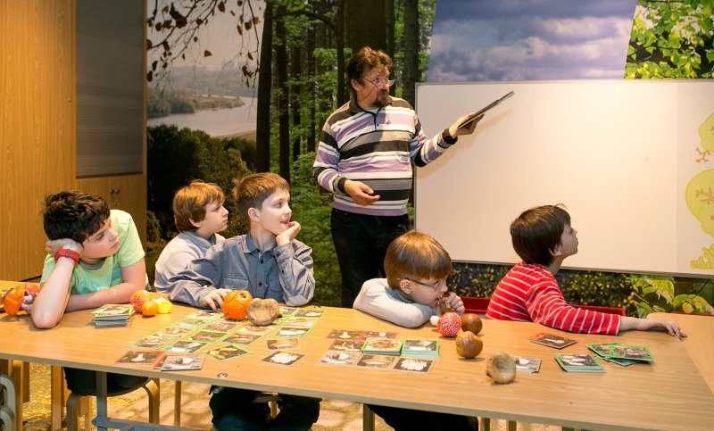 Царство грибов