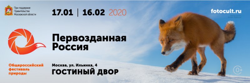 Выставка Первозданная Россия Купить Билет