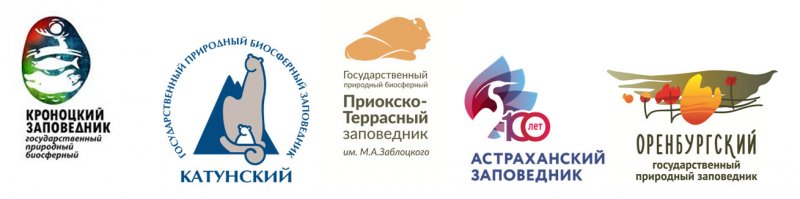 Партнеры фестиваля 