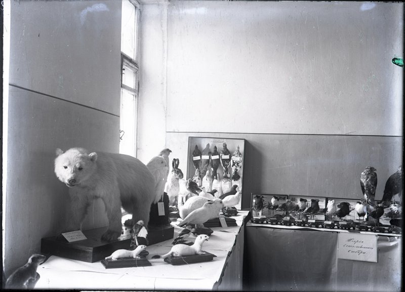 Аудитория МВЖК перед лекцией А. Ф. Котса по дарвинизму. 1907—1913