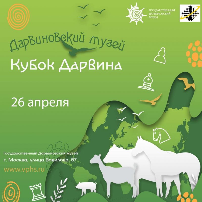 Детский шахматный турнир в Дарвиновском музее