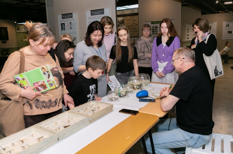 Курсы повышения квалификации сотрудников естественно-исторических музеев 2026