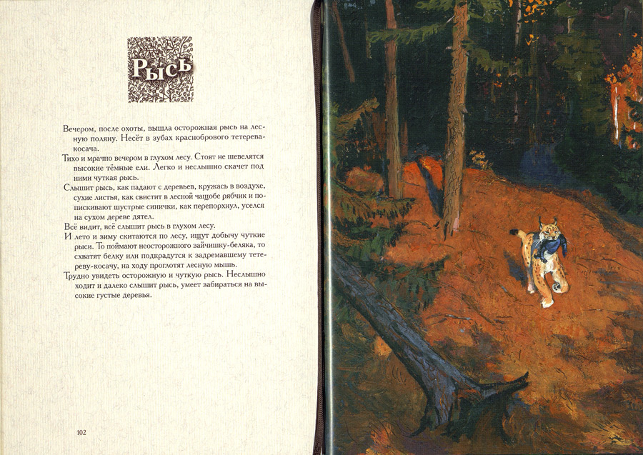 Маленький рассказ в лесу. Соколов Микитов лето в лесу.