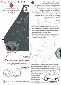 Квест 2 "Домашние животные, их родственники и предки"