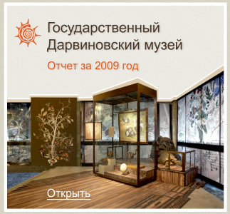Отчет за 2009 год