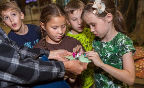 Новый квест для юных детективов «В поисках Слономуха»