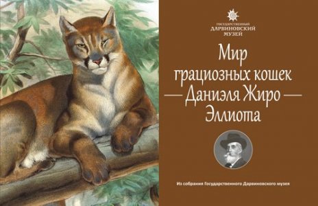 Мир грациозных кошек Даниэля Жиро Эллиота 