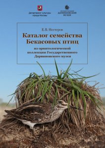 Каталог семейства Бекасовых птиц из орнитологической коллекции Государственного Дарвиновского музея