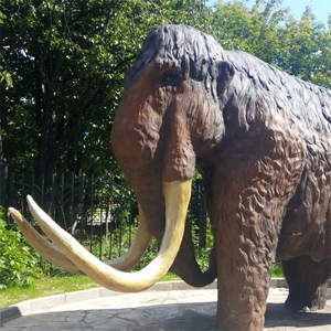 Mammoth (Mammuthus primigenius)