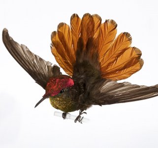 Taxidermied Birds Collection