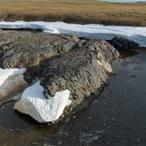 «По следам геологов на полуострове Таймыр»