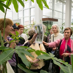 «Оранжерея на подоконнике: секреты ухода»