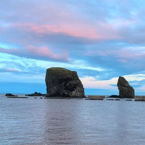 Морская биостанция Анива, Сахалин