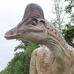 Амурозавр Amurosaurus