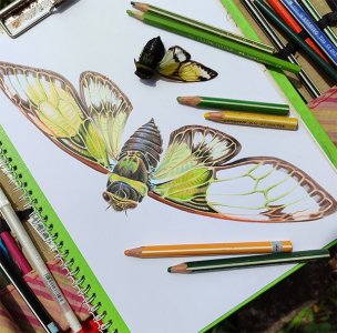 Как нарисовать огромного таракана и не испугаться.