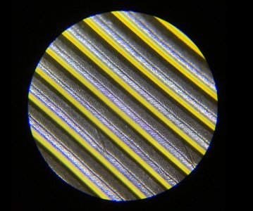 Пух и перья под микроскопом