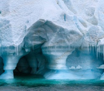 Открытие фотовыставки «Из Русской Арктики с любовью»