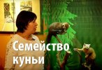 Семейство куньи